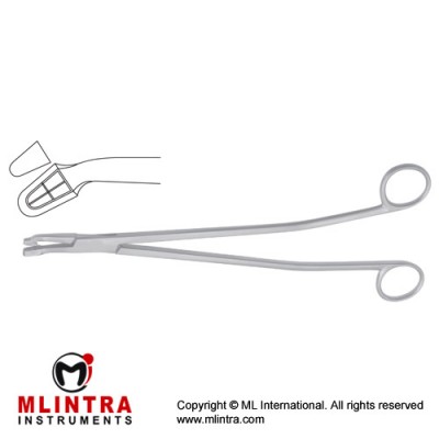 Van Doren Biopsy Forcep Stainless Steel, 25.5 cm - 10" Bite Size 4.9 mm Van Doren Biopsy Forcep Stainless Steel, 25.5 cm - 10" Bite Size 4.9 mm